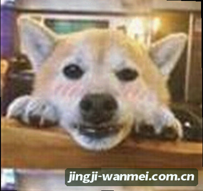 刘洋